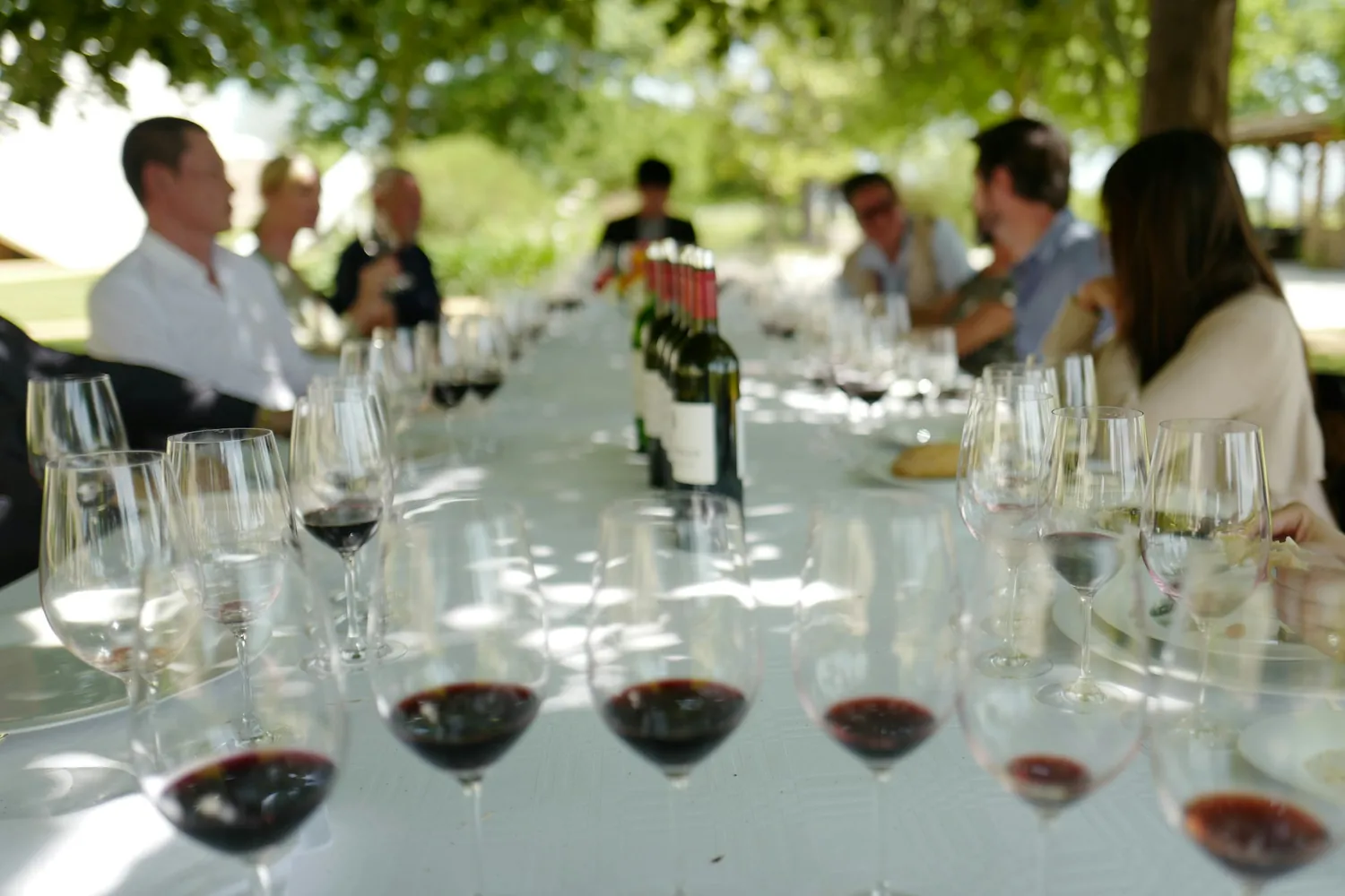 A group sharing a long table of wine glasses under the trees at a tasting.